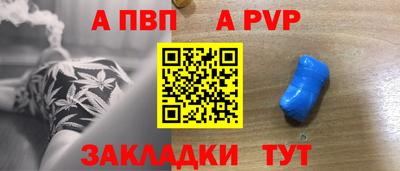 гашик Дубна