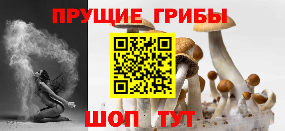 Галлюциногенные грибы ЛСД Семёнов